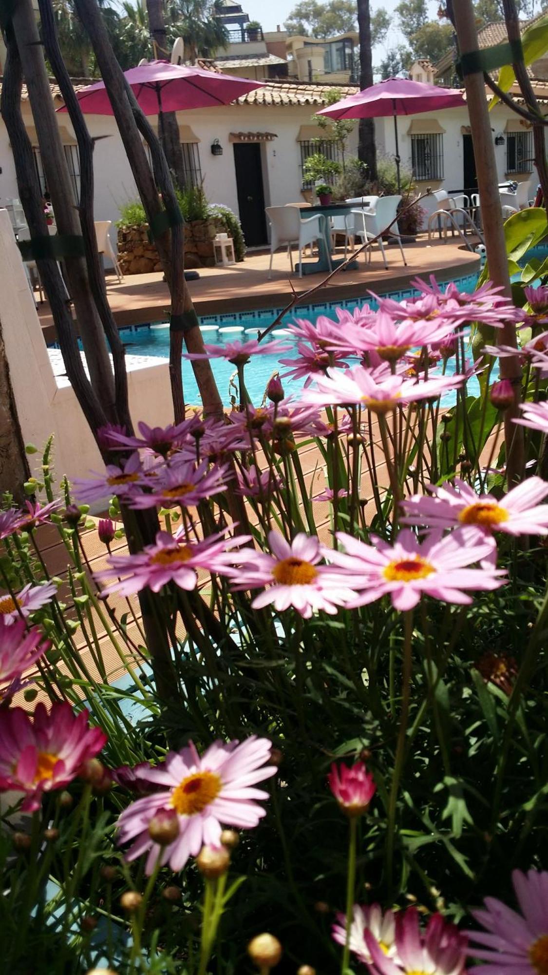 Banus Lodge Marbella Exterior photo