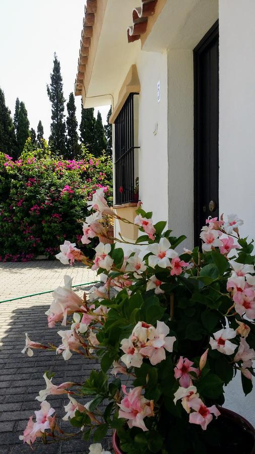 Banus Lodge Marbella Exterior photo